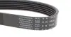 Ремінь генератора Ford Fiesta VI 08- HUTCHINSON 1029 SK 6 (фото 3)