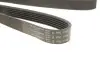 Ремень генератора Renault Master 2.5dCi (6PK1148) HUTCHINSON 1148K6 (фото 3)