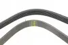 Ремень генератора Fiat Palio 1.2 97-/Land Rover Freelander 1.8i 98-06 HUTCHINSON 1188 K 5 (фото 3)