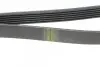 Ремінь генератора Renault Laguna 2.0 95-01 (6PK1240) HUTCHINSON 1237 K 6 (фото 3)
