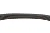 Ремінь генератора Fiat Scudo/Opel Combo 1.7D/DTI/2.0D 01- (6PK1247) HUTCHINSON 1247 K 6 (фото 3)