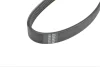 Ремень генератора Opel Omega/Vectra 94- HUTCHINSON 1255K5 (фото 3)