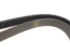 Ремень генератора Citroen Berlingo/Fiat Scudo/Peugeot Partner 1.9D 98- (6PK1387) HUTCHINSON 1387 K 6 (фото 3)