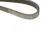 Ремень генератора Alfa Romeo Giulia 2.2D 15- HUTCHINSON 1390 K 6 (фото 4)