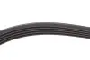 Ремень генератора VW Passat B5/Audi A4/A6 1.9TDI 98- (5PK1432) HUTCHINSON 1432K5 (фото 3)