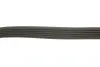 Ремень генератора Citroen Berlingo/Fiat Scudo 1.9D (6PK1435) HUTCHINSON 1435 K 6 (фото 4)