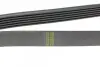 Ремень генератора Peugeot 406 (6PK1479) HUTCHINSON 1479 K 6 (фото 3)