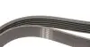 Ремень генератора Audi A4 1.6-2.0 00-08 (6PK1570) HUTCHINSON 1570 K 6 (фото 3)