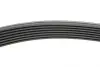 Ремінь генератора BMW 5 (E39)/7 (E38) 3.5i/4.0i 93-04 HUTCHINSON 1626 K 7 (фото 2)