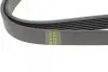 Ремінь генератора BMW 5 (E39)/7 (E38) 3.5i/4.0i 93-04 HUTCHINSON 1626 K 7 (фото 3)