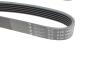Ремень генератора Renault Megane I/Ford Transit 2.0 94-00 (6PK1650) HUTCHINSON 1650 K 6 (фото 2)