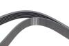 Ремень генератора Renault Megane I/Ford Transit 2.0 94-00 (6PK1650) HUTCHINSON 1650 K 6 (фото 3)