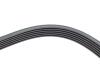 Ремень генератора Renault Megane I/Ford Transit 2.0 94-00 (6PK1650) HUTCHINSON 1650 K 6 (фото 4)