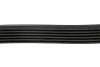 Ремень генератора Fiat Scudo/Citroen Berlingo/VW Golf IV 1.8/1.9TDI 97- (6PK1658) HUTCHINSON 1658 K 6 (фото 4)