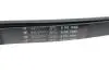 Ремень генератора Fiat Scudo/Citroen Berlingo/VW Golf IV 1.8/1.9TDI 97- (6PK1660) HUTCHINSON 1660 K 6 (фото 3)