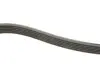 Ремінь генератора Fiat Scudo 1.9D/Ford Escort 1.6/1.8i (6PK1674) HUTCHINSON 1674 K 6 (фото 3)