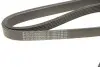 Ремень генератора 6PK1708 Jumper 1.9TD 94&gt;02 ALT, PS, AC HUTCHINSON 1710K6 (фото 4)