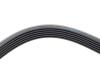 Ремінь генератора Ford Scorpio 2.0i 94-98 (6PK1755) HUTCHINSON 1755 K 6 (фото 4)
