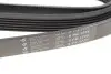 Ремень генератора MB W202/210 M111/Ford Transit 2.301-06 (6PK1775) HUTCHINSON 1775 K 6 (фото 5)