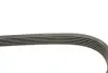 Ремінь генератора Renault Master 2.2/2.5 dCi 00- (6PK1836) HUTCHINSON 1836K6 (фото 3)