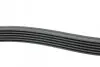 Ремінь генератора Audi/BMW/Chevrolet/MB/Opel (6PK1875) HUTCHINSON 1875 K 6 (фото 2)