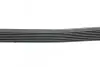 Ремінь генератора Honda Accord VIII 2.0 I 08-/ Land Rover Range Rover II 3.9-4.6 94-02 HUTCHINSON 2080 K 7 (фото 2)