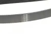 Ремінь генератора Honda Accord VIII 2.0 I 08-/ Land Rover Range Rover II 3.9-4.6 94-02 HUTCHINSON 2080 K 7 (фото 3)