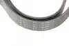 Ремінь генератора Honda Accord VIII 2.0 I 08-/ Land Rover Range Rover II 3.9-4.6 94-02 HUTCHINSON 2080 K 7 (фото 4)