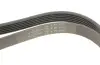 Ремень генератора MB W124/W126/W201/W202 3.0 -96/VW LT 2.5TDI (6PK2172) HUTCHINSON 2172 K 6 (фото 5)