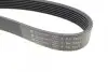 Ремінь генератора MB S-class (W220/C215) 5.5-6.0 02-06/Land Rover Range Rover 3.9-4.6 94-02 HUTCHINSON 2335 K 7 (фото 4)