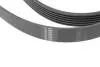 Ремень генератора MB E-class (W124/S124) M104 93-96 (6PK2412) HUTCHINSON 2412 K 6 (фото 3)