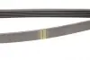 Ремінь генератора MB W211 55 AMG 02-08 (6PK2442) HUTCHINSON 2442 K 6 (фото 3)
