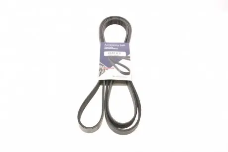 Ремінь генератора MB W211 55 AMG 02-08 (6PK2442) HUTCHINSON 2442 K 6