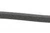 Ремінь генератора Audi A4/A6/A8/Q7 2.7/3.0TDI 04- (6PK2485) HUTCHINSON 2485 K 6 (фото 3)