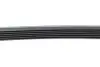Ремінь генератора Audi A6 4.2 98-05/A8 3.7/4.2 98-02 (6PK2648) HUTCHINSON 2648 K 6 (фото 4)