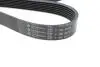 Ремень генератора Land Rover Defender 2.2Td4 11-16/Nissan Navara/Pathfinder 3.0dCi 10- (7PK2670) HUTCHINSON 2670 K 7 (фото 4)
