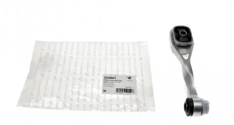 Опора ДВЗ задня Renault Megane I, Clio II Simbol HUTCHINSON 524841