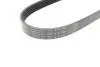 Ремінь генератора Mazda 3/5 1.8/2.0 03- (5PK716) HUTCHINSON 716 SK 5 (фото 3)