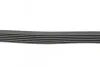 Ремень генератора VW Caddy 1.4 04-06 HUTCHINSON 740 K 6 (фото 2)