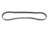 Ремінь генератора Hyundai Accent 1.3-1.6 94-11 (4PK850) HUTCHINSON 850 K 4 (фото 1)