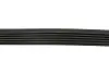 Ремінь генератора Fiat Scudo 1.6/Renault Kangoo 1.9D 97- (6PK894) HUTCHINSON 894 K 6 (фото 3)