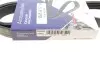 Ремінь генератора Ford Focus 2.5 ST 05-12/Mitsubishi Lancer 1.5/1.6 08- (5PK895) HUTCHINSON 895 K 5 (фото 6)