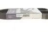 Ремень генератора Citroen Berlingo/VW Golf III 1.4-2.0i 91- (6PK975) HUTCHINSON 975 K 6 (фото 5)