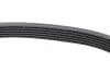 Ремінь генератора VW Polo/Up 11-/Skoda Fabia 14-/Seat Ibiza 1.0/1.6 15- (6PK989) HUTCHINSON 989 SK 6 (фото 4)