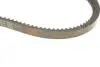 Ремень генератора Audi 80 1.3-1.8 78-87/BMW 3 (E30)/5 (E34) 2.0-2.5 87-95/VW Passat 1.6-1.8 80-88 HUTCHINSON AV 13 LA 825 (фото 4)