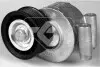 Натяжний ролик Ford C-Max (07-10), Focus II (05-08) HUTCHINSON T0316 (фото 1)