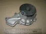 Насос водяний (Mobis) Hyundai/Kia/Mobis 251002E020 (фото 1)