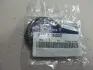 Сальник первичного вала_ELANTRA 06-10 / ACCENT 94-99 / CARNIVAL 00-06 / SANTA FE 06-10 / TUCSON 04- Hyundai/Kia/Mobis 4613136002 (фото 1)