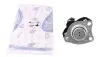 Подушка двигателя Renault Scenic I/Megane I 1.9dTi/D/2.0i 96-03 IMPERGOM 31625 (фото 1)