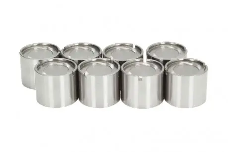 Гідрокомпенсатор Fiat Scudo/Citroen Jumpy/Opel Astra H/Vectra C 1.0-2.4D 73- (37mm) INA 421 0012 10